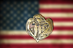 Coin.Flag_